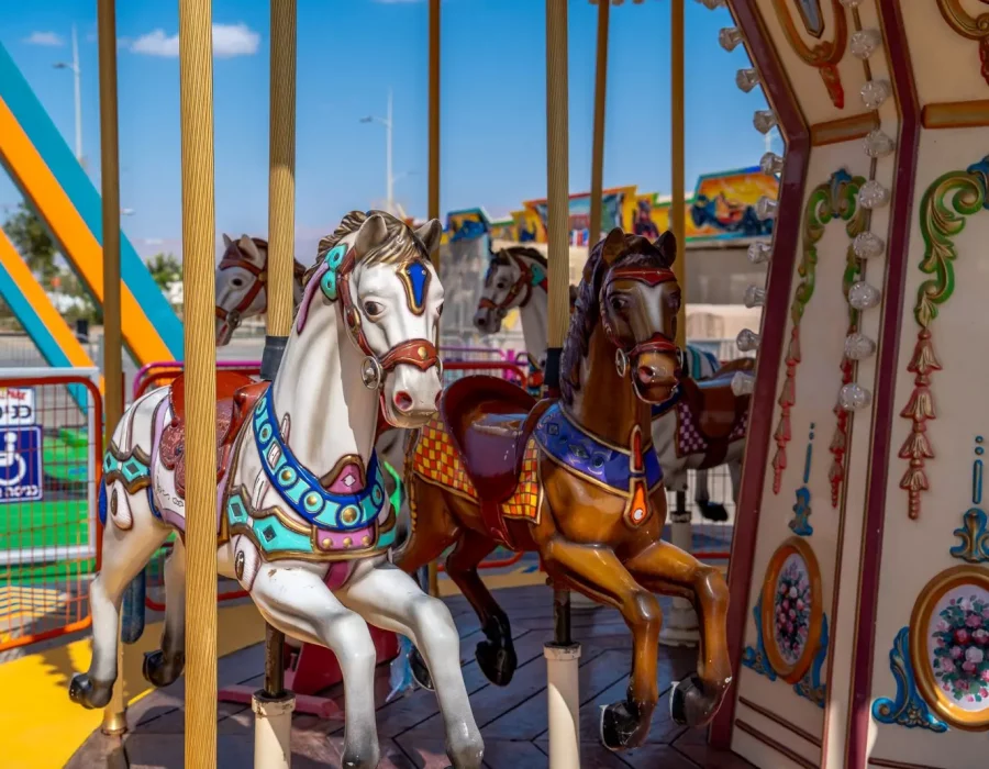 WhatsApp Image 2025-10-10 at 05.19.57 (16)