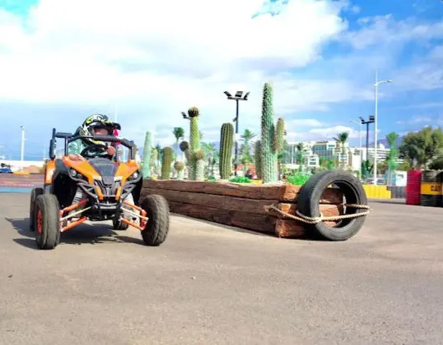 גרין-אקסטרים15