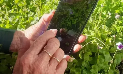 מעיין צילום קרדיט ציפי קרליק (2)